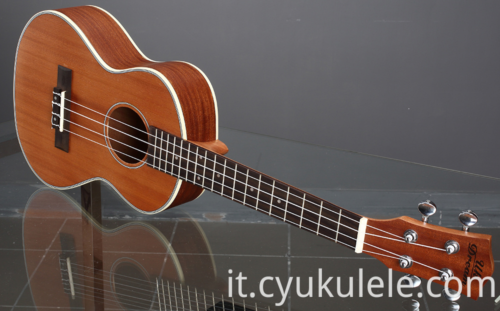 ukulele20